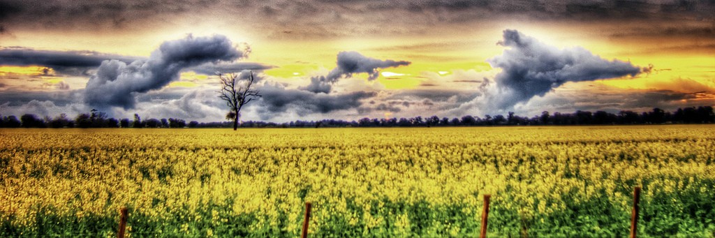 6052026435_11b676cfd2_b