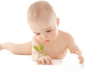 2888984347_0ba5132be6_o